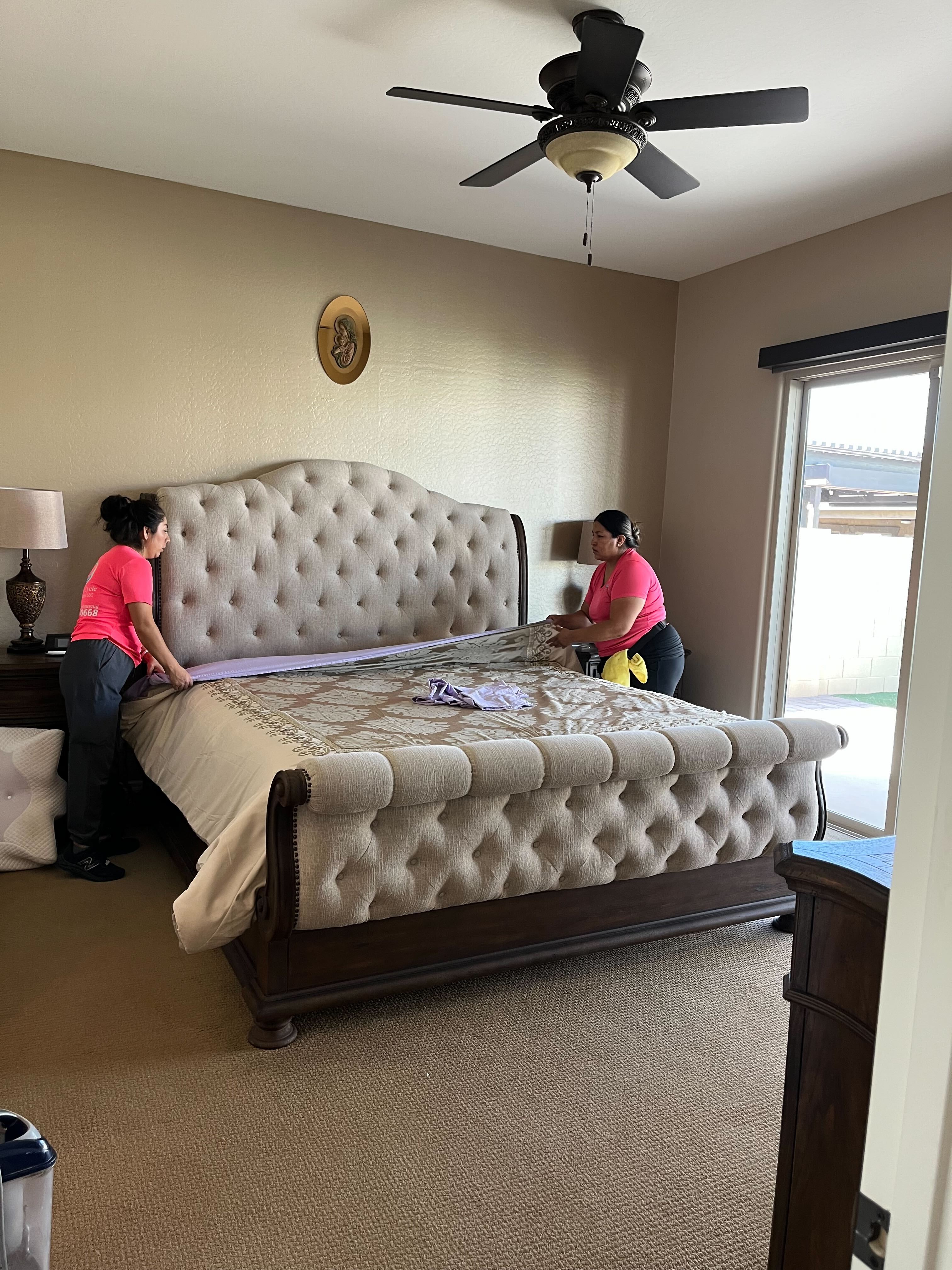 Professional oven deep cleaning service